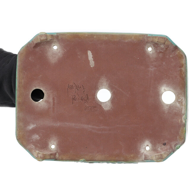 Rechteckige türkisfarbene Bonsaischale von Yamaaki - 350 x 260 x 75 mm