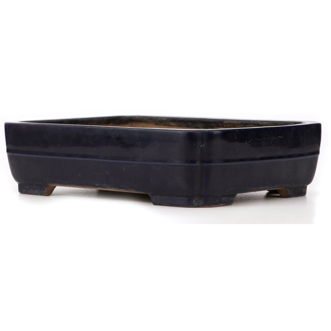 Vaso bonsai blu rettangolare di Yamafusa - 370 x 275 x 92 mm