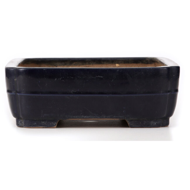Vaso bonsai blu rettangolare di Yamafusa - 370 x 275 x 92 mm