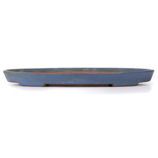 Reihou (Bonsai Matsushita Hiroyuki or Mr.MATSUSHITA Reiji    Master) 367 mm oval blue bonsai pot by Reiho, Tokoname, Japan