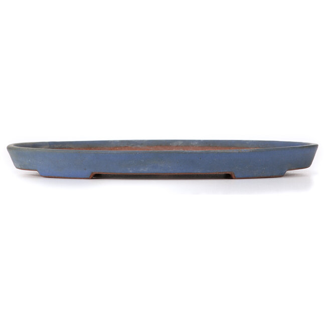 Pot à bonsaï ovale bleu par Reiho - 367 x 240 x 32 mm