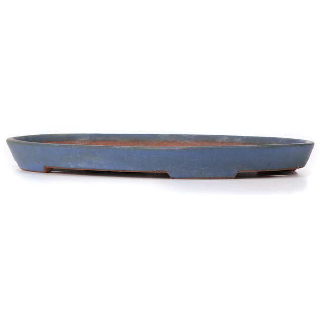 Pot à bonsaï ovale bleu par Reiho - 367 x 240 x 32 mm