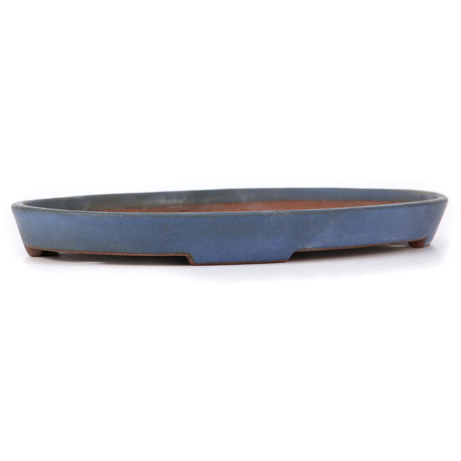 Pot à bonsaï ovale bleu par Reiho - 367 x 240 x 32 mm