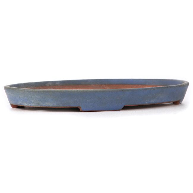 Pot à bonsaï ovale bleu par Reiho - 367 x 240 x 32 mm