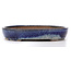 Pot à bonsaï ovale bleu par Shuhou - 475 x 350 x 65 mm