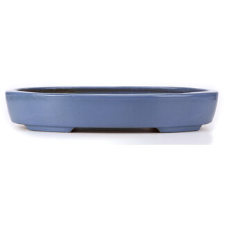 Hattori Tomoyuki 440 mm oval blue bonsai pot by Hattori, Tokoname, Japan