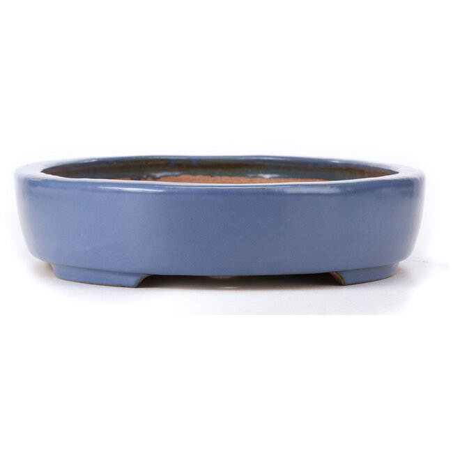Oval blue bonsai pot by Hattori - 440 x 320 x 75 mm