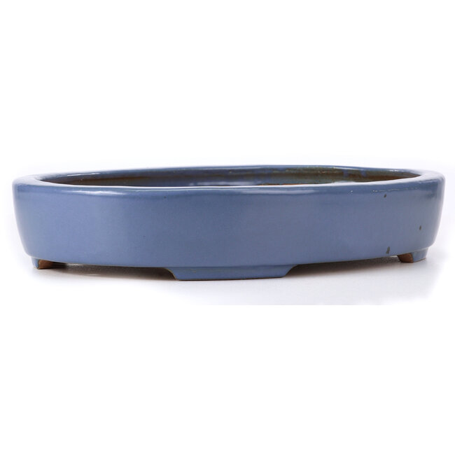 Vaso bonsai ovale blu di Hattori - 440 x 320 x 75 mm
