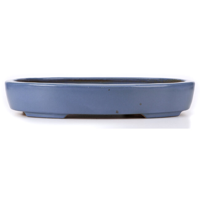 Vaso bonsai ovale blu di Hattori - 440 x 320 x 75 mm