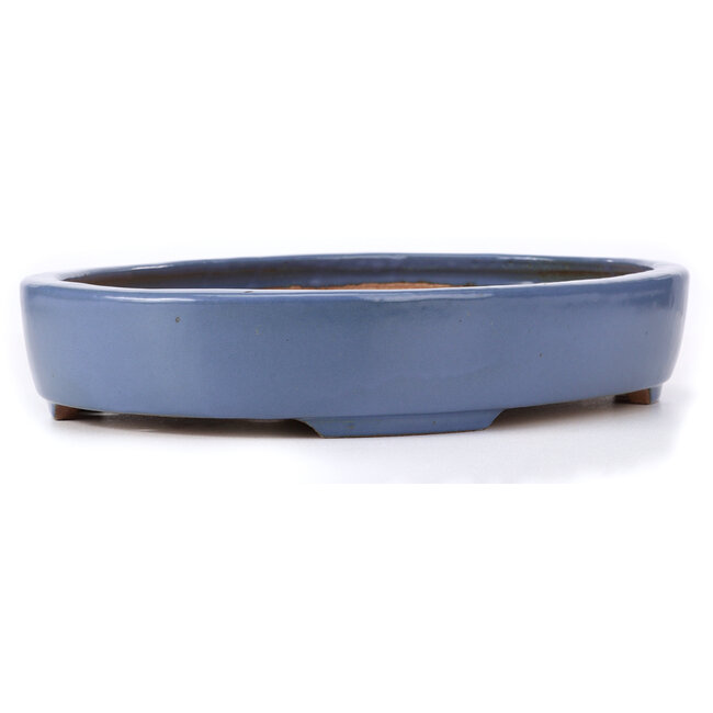 Pot à bonsaï ovale bleu par Hattori - 440 x 320 x 75 mm