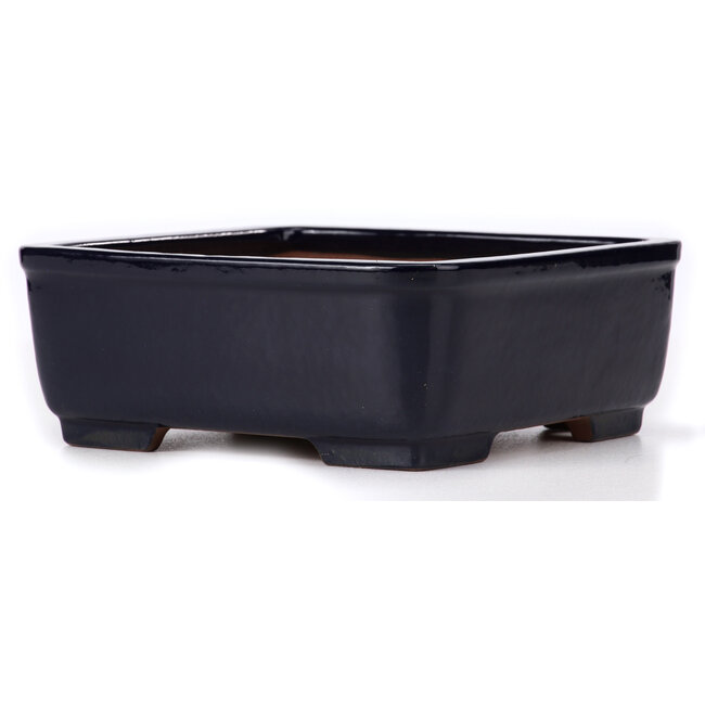 Square blue bonsai pot by Yamafusa - 240 x 240 x 90 mm