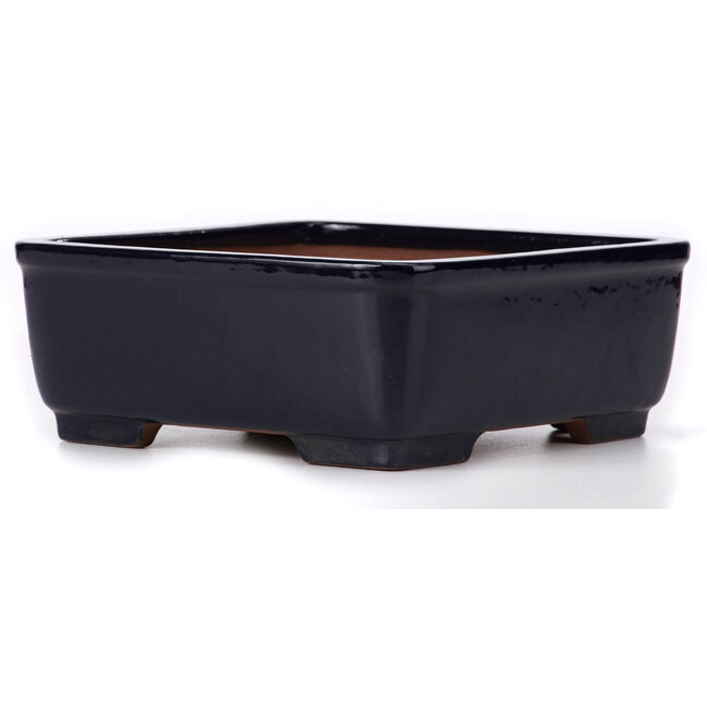 Maceta para bonsái cuadrada azul de Yamafusa - 240 x 240 x 90 mm