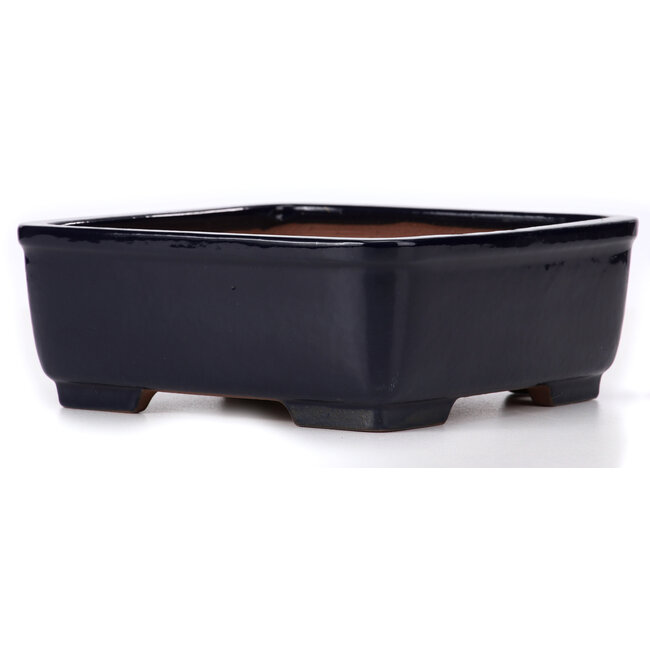 Square blue bonsai pot by Yamafusa - 240 x 240 x 90 mm
