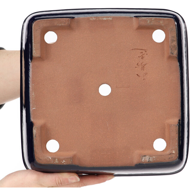 Square blue bonsai pot by Yamafusa - 240 x 240 x 90 mm
