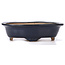 Mokko blue bonsai pot by Ikkou - 250 x 202 x 75 mm