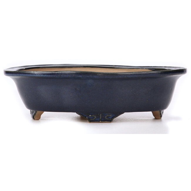 Maceta de bonsái azul Mokko de Ikkou - 250 x 202 x 75 mm