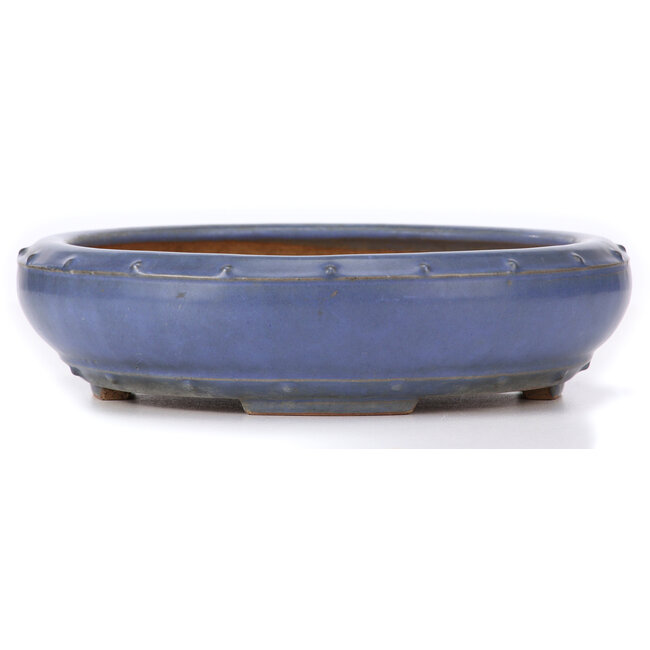 Round blue bonsai pot by Ikkou - 280 x 280 x 75 mm