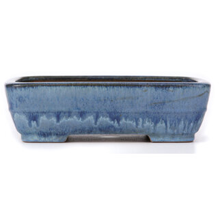 Ikkou - Watanabe Kazuhiro 渡辺一弘 292 mm rectangular blue bonsai pot by Ikkou, Tokoname, Japan