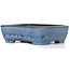 Rectangular blue bonsai pot by Ikkou - 292 x 225 x 82 mm