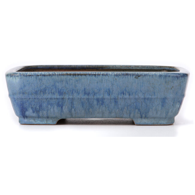 Rechteckige blaue Bonsaischale von Ikkou - 292 x 225 x 82 mm