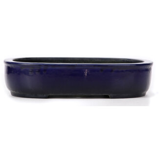 Koyo - Koichirou Aiba  280 mm rectangular blue bonsai pot by Koyou, Tokoname, Japan