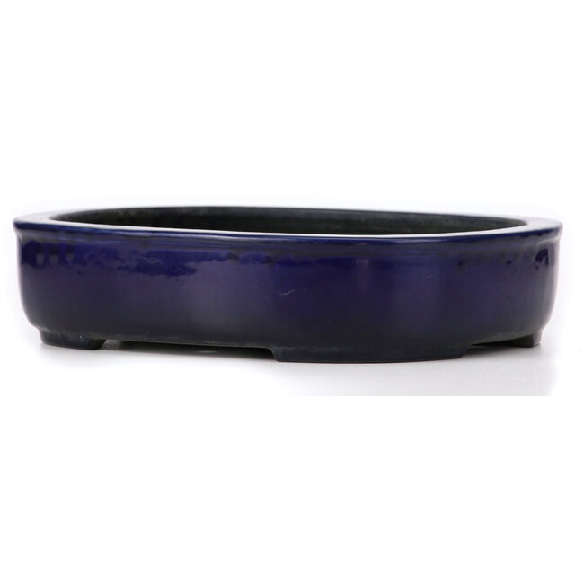 Pot à bonsaï rectangulaire bleu par Koyou - 280 x 240 x 63 mm