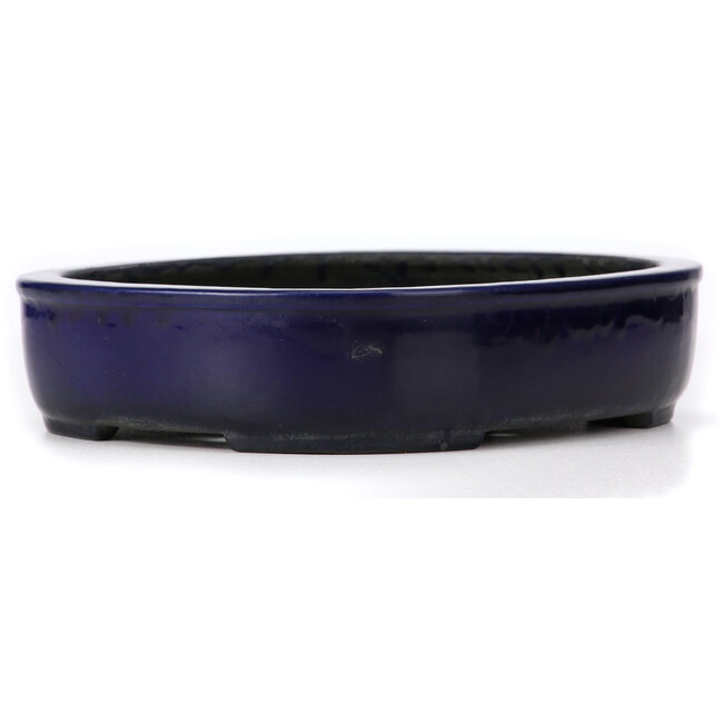 Rechteckige blaue Bonsaischale von Koyou - 280 x 240 x 63 mm