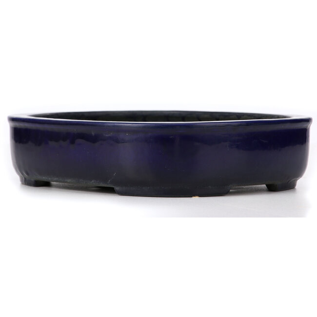 Vaso per bonsai blu rettangolare di Koyou - 280 x 240 x 63 mm