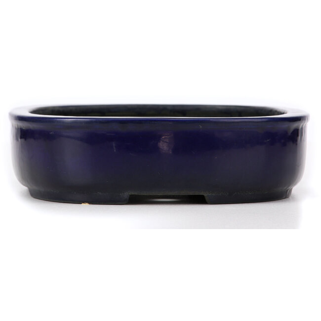 Rechteckige blaue Bonsaischale von Koyou - 280 x 240 x 63 mm