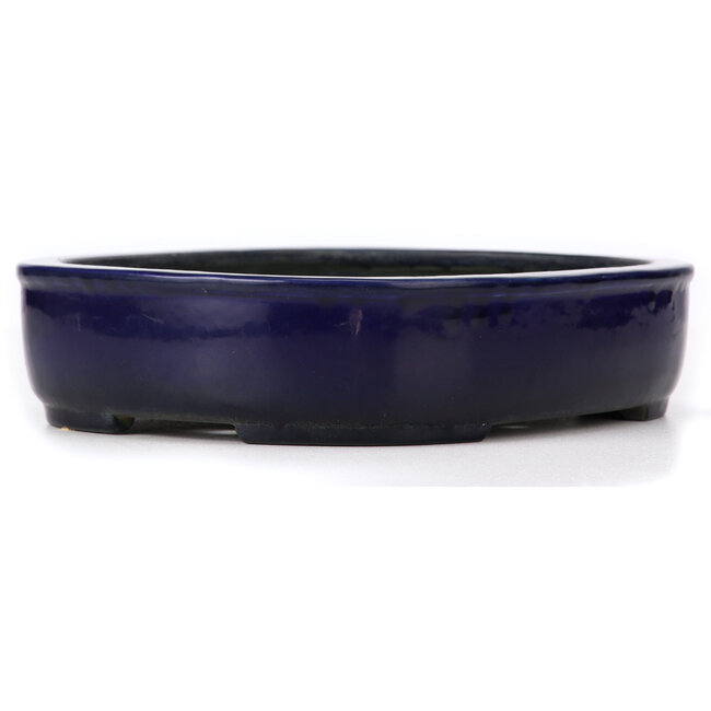 Rechteckige blaue Bonsaischale von Koyou - 280 x 240 x 63 mm