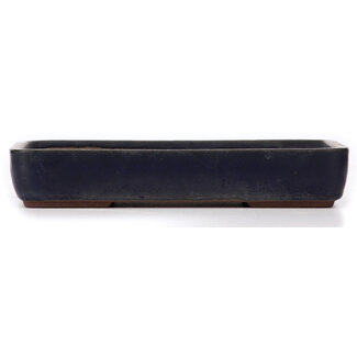  Other Japanese bonsai pot makers Maceta azul rectangular de 263 mm de Japón