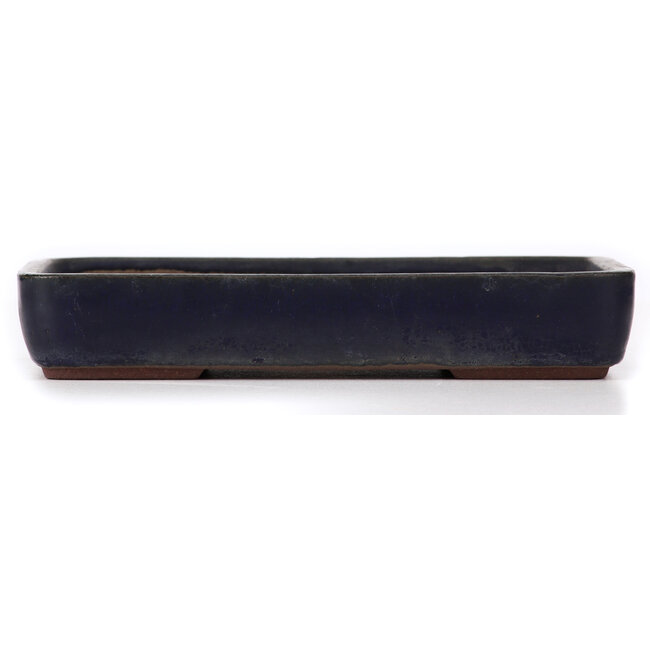 Rectangular blue bonsai pot - 263 x 185 x 45 mm