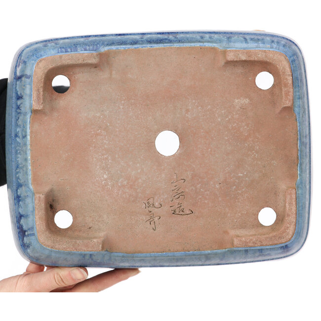 Pot à bonsaï rectangulaire bleu par Ikkou - 292 x 225 x 82 mm
