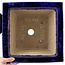 Pot à bonsaï carré bleu - 315 x 315 x 192 mm