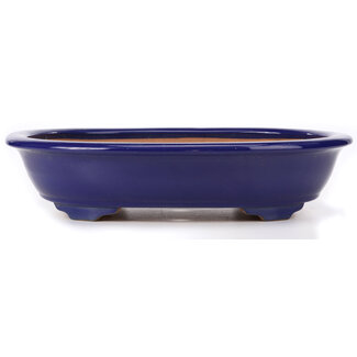 Ikkou - Watanabe Kazuhiro 渡辺一弘 Vaso per bonsai blu ovale da 440 mm di Ikkou, Tokoname, Giappone