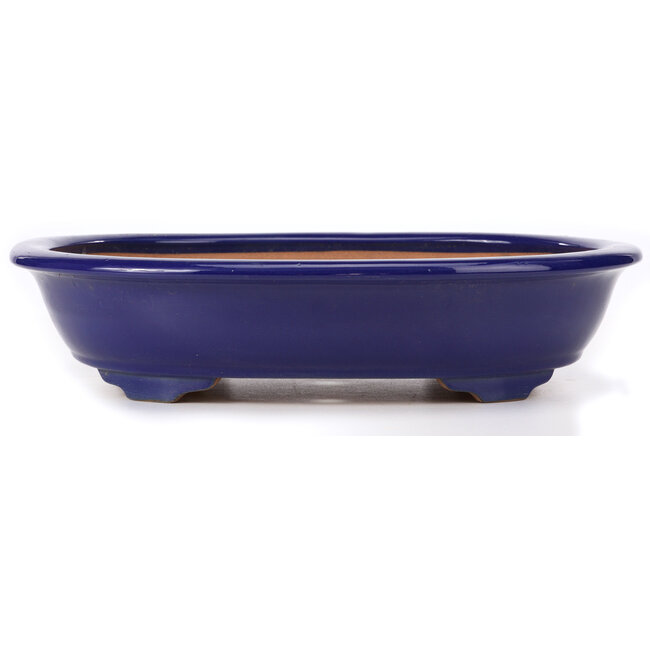 Oval blue bonsai pot by Ikkou - 440 x 365 x 94 mm