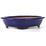 Oval blue bonsai pot by Ikkou - 440 x 365 x 94 mm