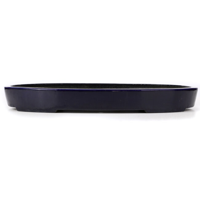 Vaso bonsai ovale blu di Koyou - 490 x 330 x 55 mm