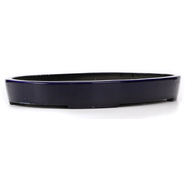 Vaso bonsai ovale blu di Koyou - 490 x 330 x 55 mm