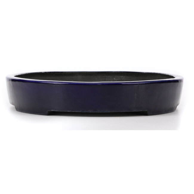 Vaso bonsai ovale blu di Koyou - 490 x 330 x 55 mm