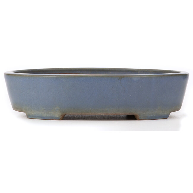 Pot à bonsaï ovale bleu par Yamafusa - 325 x 272 x 80 mm