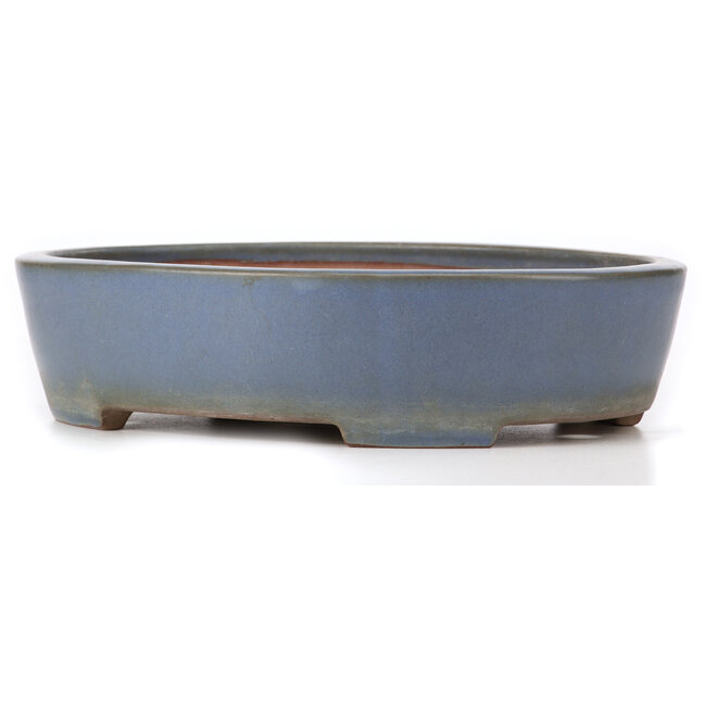 Oval blue bonsai pot by Yamafusa - 325 x 272 x 80 mm