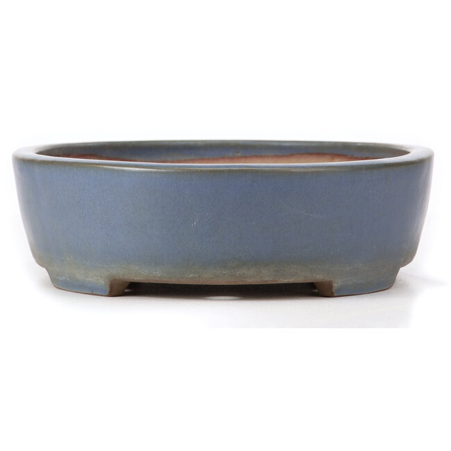 Ovale blauwe bonsaipot van Yamafusa - 325 x 272 x 80 mm