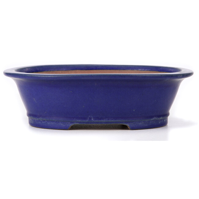 Oval blue bonsai pot by Reiho - 322 x 263 x 95 mm