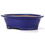 Oval blue bonsai pot by Reiho - 322 x 263 x 95 mm