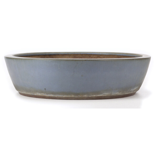 Oval blue bonsai pot by Yamaaki - 472 x 400 x 104 mm