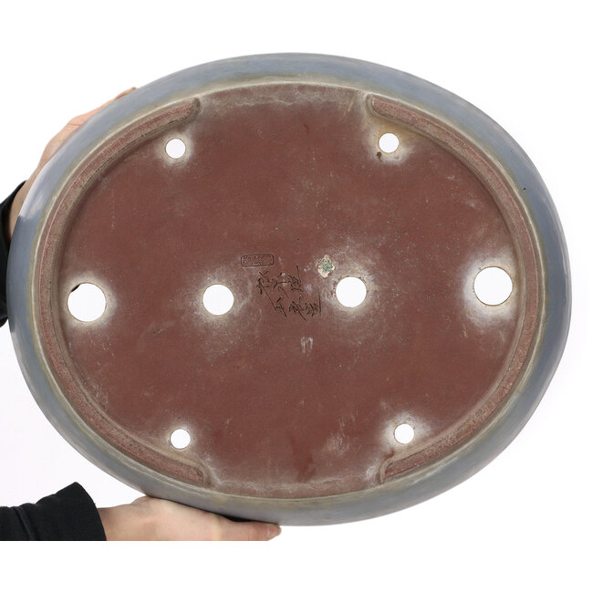Oval blue bonsai pot by Yamaaki - 472 x 400 x 104 mm