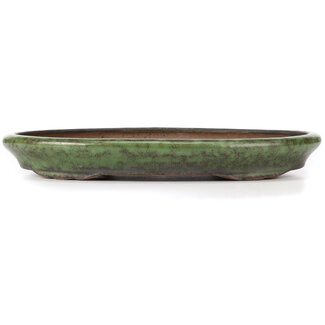Vaso decorativo Bonsai in ceramica verde H 22 cm, Ø 32 cm