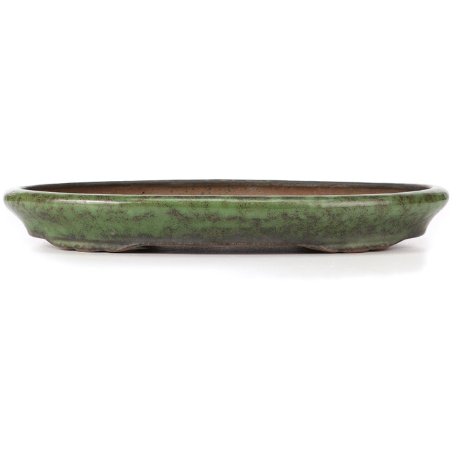 Oval green bonsai pot by Shuhou - 400 x 270 x 50 mm