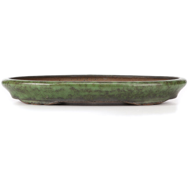 Pot à bonsaï vert ovale par Shuhou - 400 x 270 x 50 mm